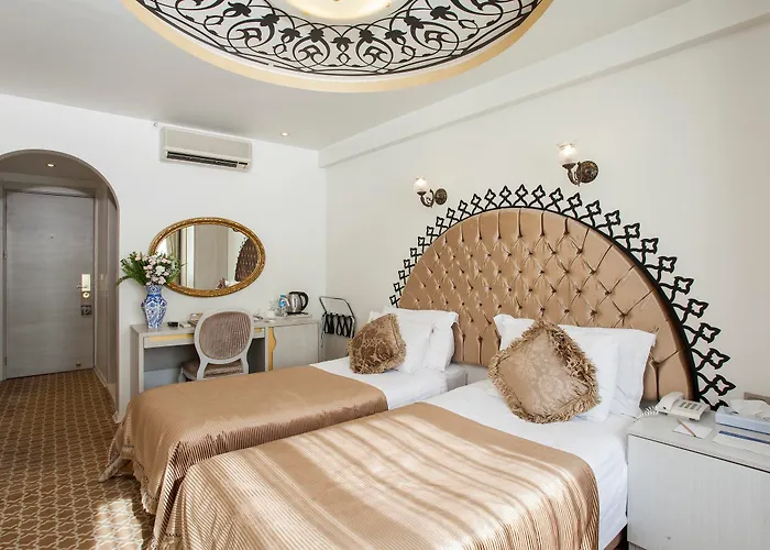 ホテル Ottoman Park 4*